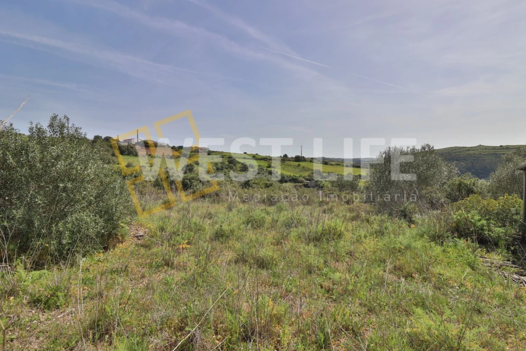 Terreno Agricola ou Rústico para Venda em Igreja Nova e Cheleiros Foto 6