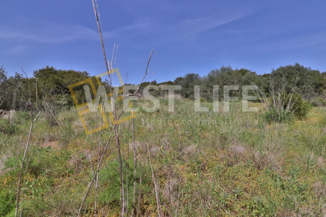 Terreno Agricola ou Rústico para Venda em Igreja Nova e Cheleiros Foto 10