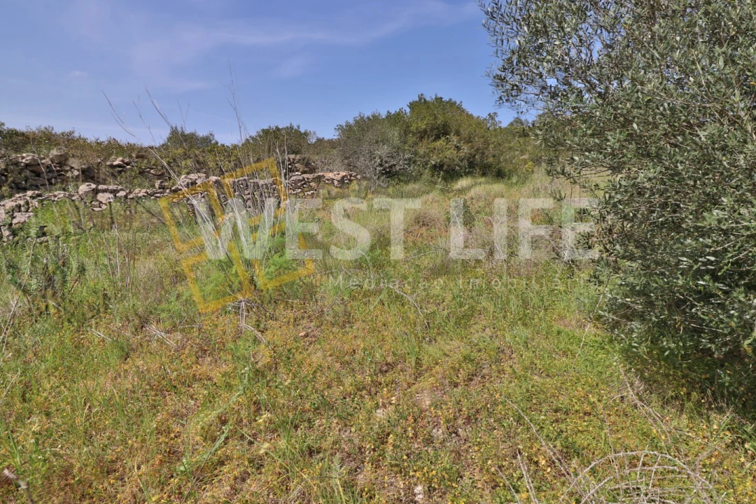 Terreno Agricola ou Rústico para Venda em Igreja Nova e Cheleiros Foto 12