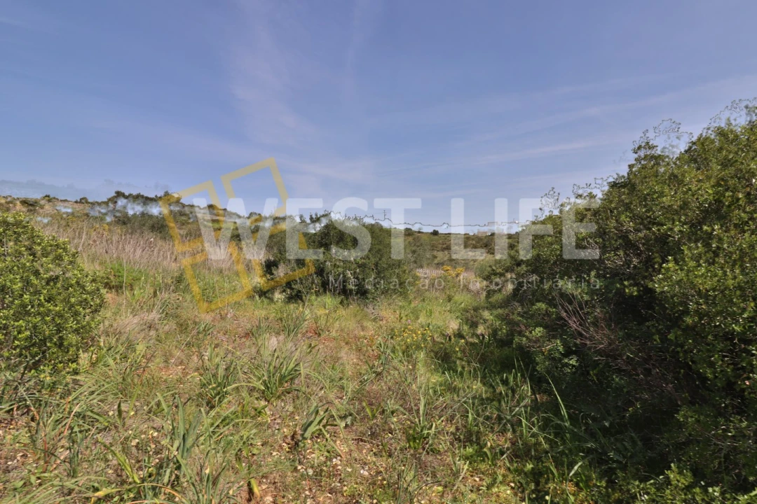 Terreno Agricola ou Rústico para Venda em Igreja Nova e Cheleiros Foto 15