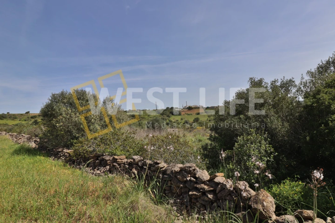 Terreno Agricola ou Rústico para Venda em Igreja Nova e Cheleiros Foto 18