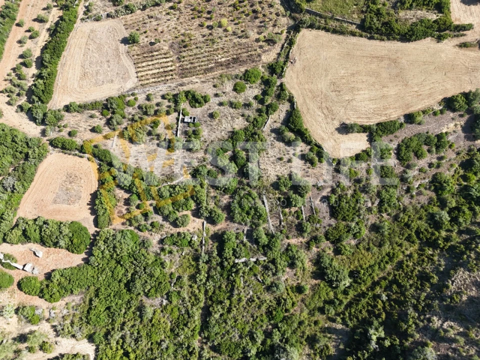 Terreno Agricola ou Rústico para Venda em Igreja Nova e Cheleiros Foto 3