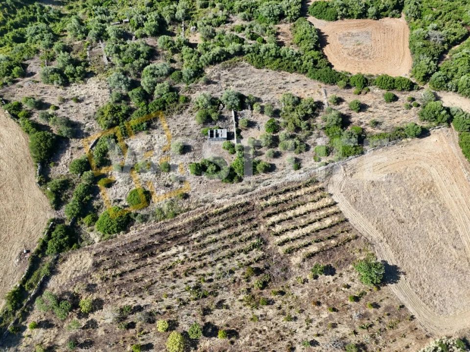Terreno Agricola ou Rústico para Venda em Igreja Nova e Cheleiros Foto 5