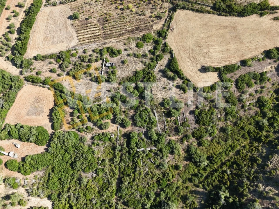 Terreno Agricola ou Rústico para Venda em Igreja Nova e Cheleiros Foto 7