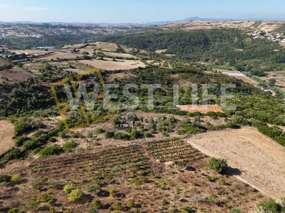 Terreno Agricola ou Rústico para Venda em Igreja Nova e Cheleiros Foto 9