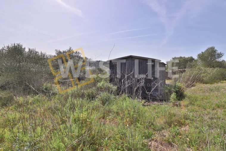 Terreno Agricola ou Rústico para Venda em Igreja Nova e Cheleiros Foto 2