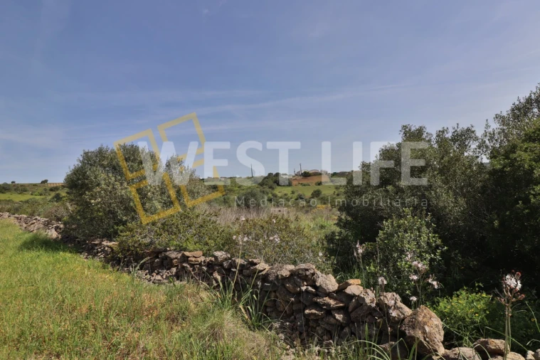 Terreno Agricola ou Rústico para Venda em Igreja Nova e Cheleiros Foto 18