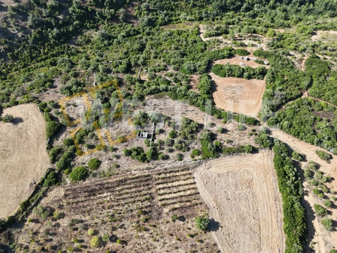 Terreno Agricola ou Rústico para Venda em Igreja Nova e Cheleiros Foto 1