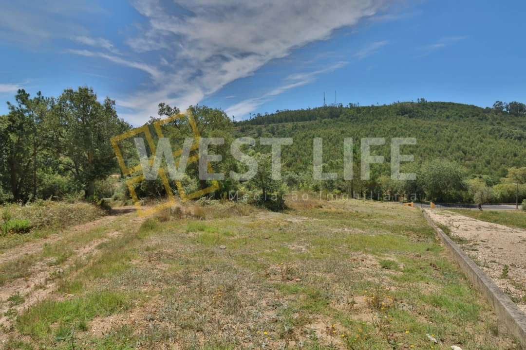 Terreno Agricola ou Rústico para Venda em Venda do Pinheiro e Santo Estêvão das Galés Foto 3