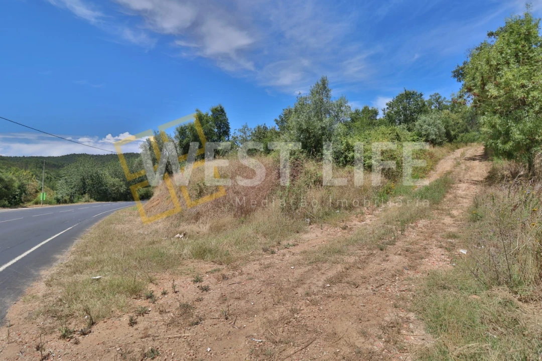 Terreno Agricola ou Rústico para Venda em Venda do Pinheiro e Santo Estêvão das Galés Foto 4