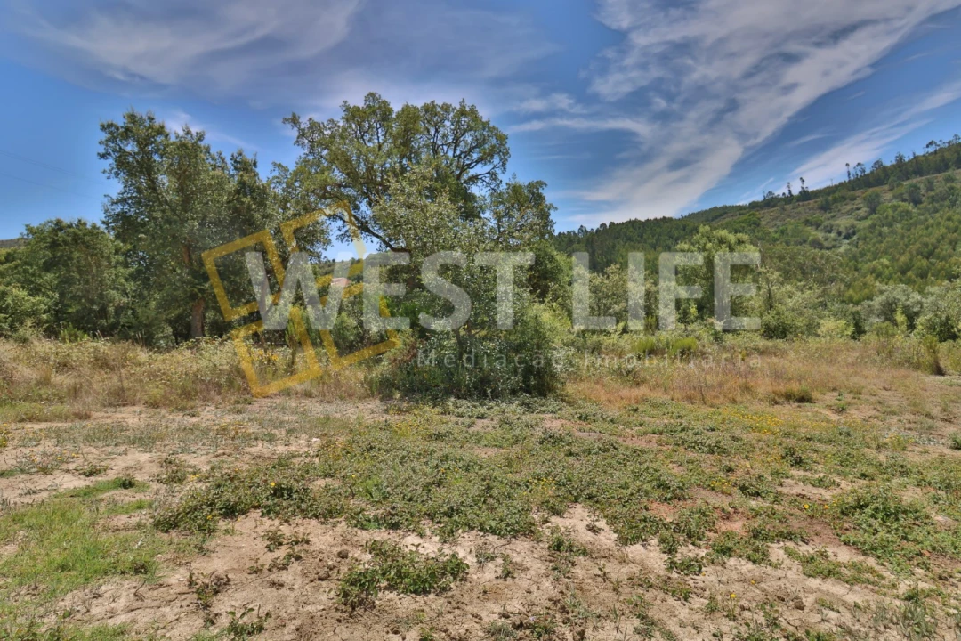 Terreno Agricola ou Rústico para Venda em Venda do Pinheiro e Santo Estêvão das Galés Foto 5