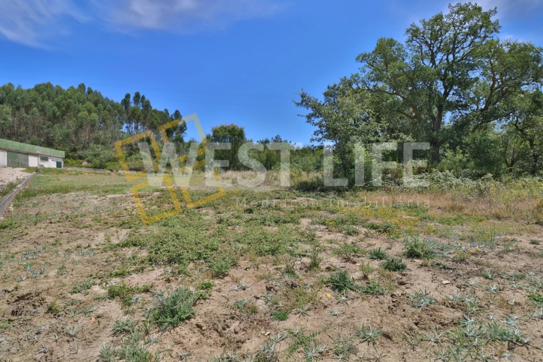 Terreno Agricola ou Rústico para Venda em Venda do Pinheiro e Santo Estêvão das Galés Foto 6