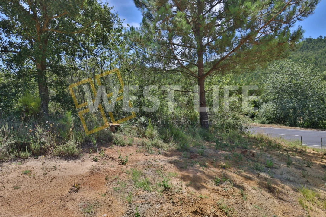 Terreno Agricola ou Rústico para Venda em Venda do Pinheiro e Santo Estêvão das Galés Foto 7
