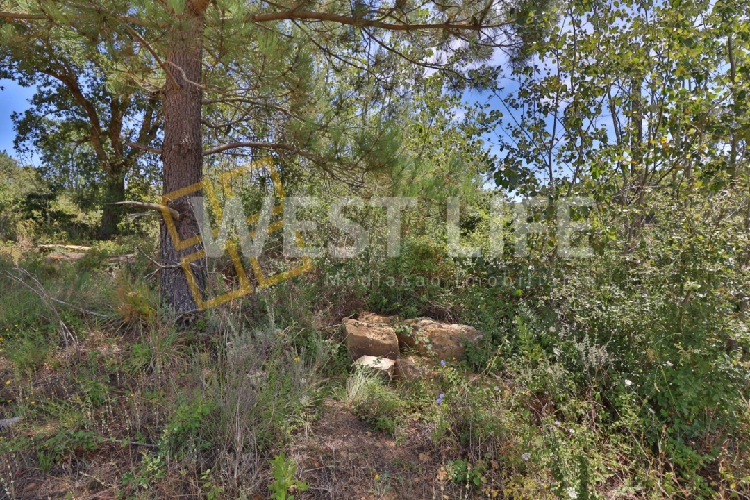 Terreno Agricola ou Rústico para Venda em Venda do Pinheiro e Santo Estêvão das Galés Foto 8