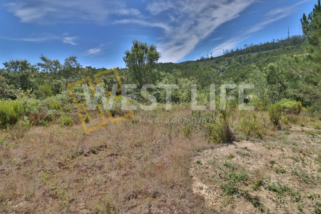 Terreno Agricola ou Rústico para Venda em Venda do Pinheiro e Santo Estêvão das Galés Foto 9