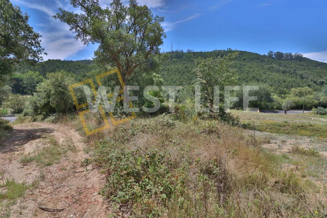 Terreno Agricola ou Rústico para Venda em Venda do Pinheiro e Santo Estêvão das Galés Foto 10