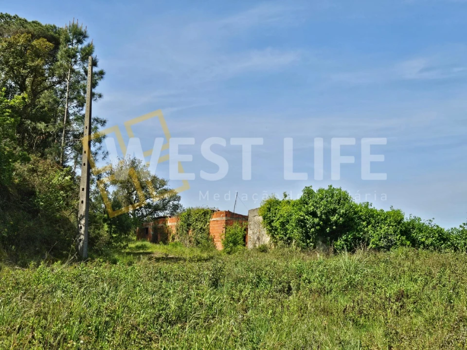 Armazém para Venda em Mafra Foto 5