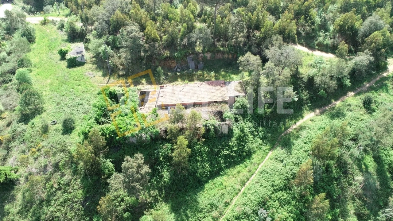 Armazém para Venda em Mafra Foto 7