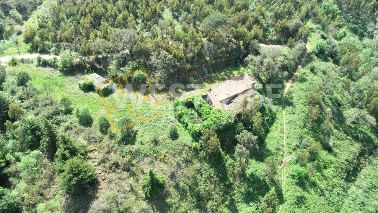 Armazém para Venda em Mafra Foto 9