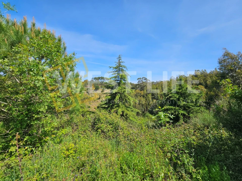 Armazém para Venda em Mafra Foto 13
