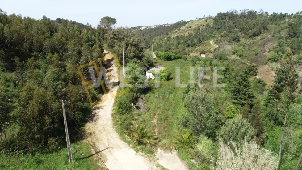 Armazém para Venda em Mafra Foto 20