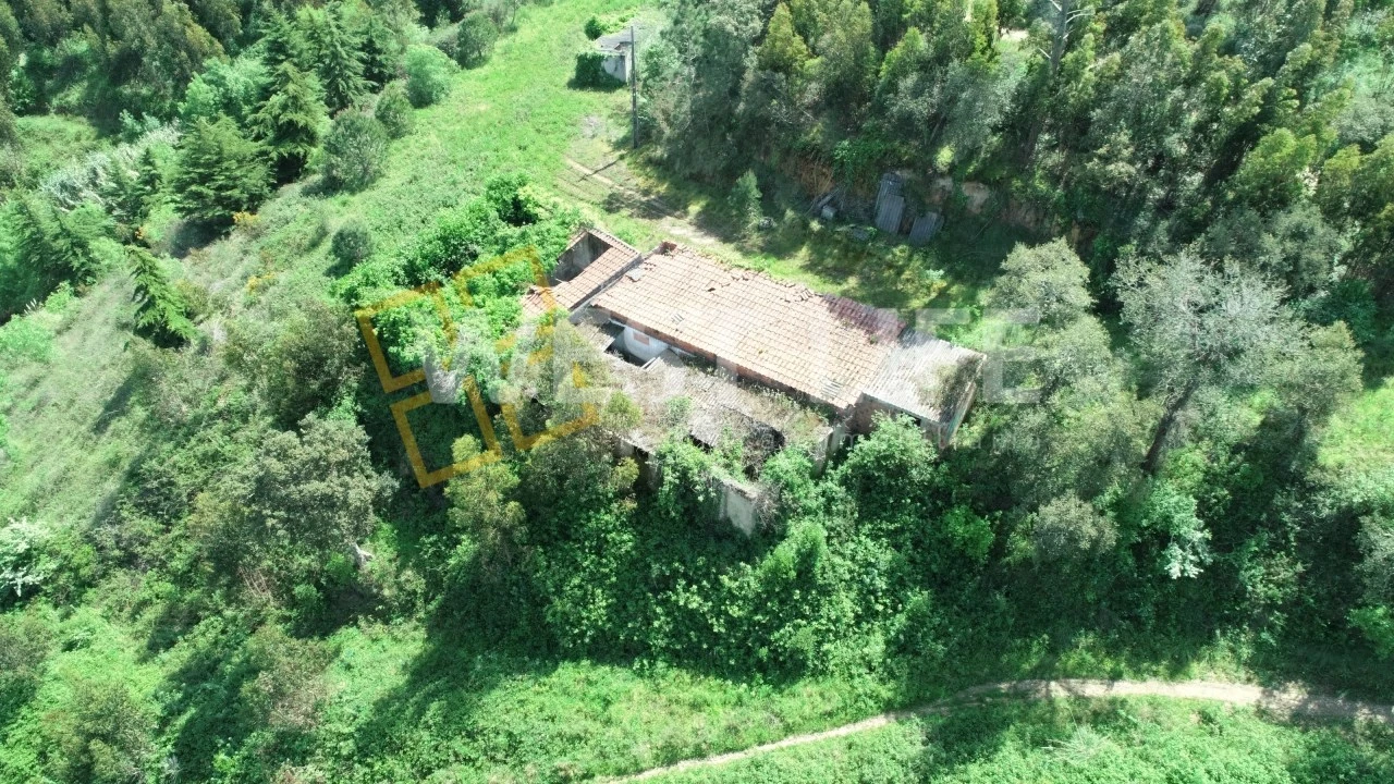 Armazém para Venda em Mafra Foto 22