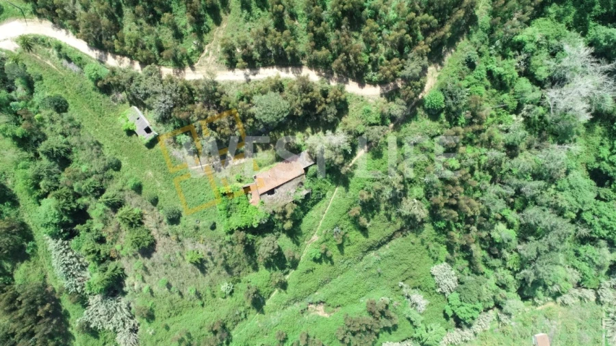 Armazém para Venda em Mafra Foto 3