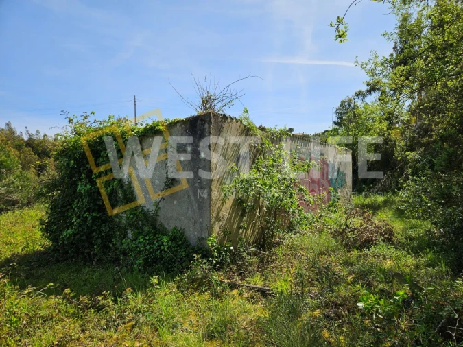 Armazém para Venda em Mafra Foto 2