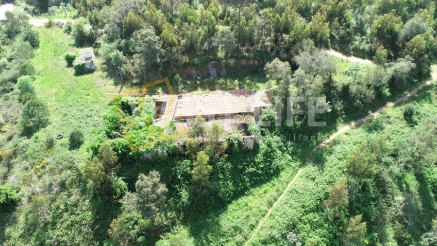 Armazém para Venda em Mafra Foto 7