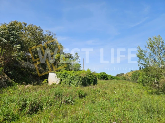 Armazém para Venda em Mafra Foto 8
