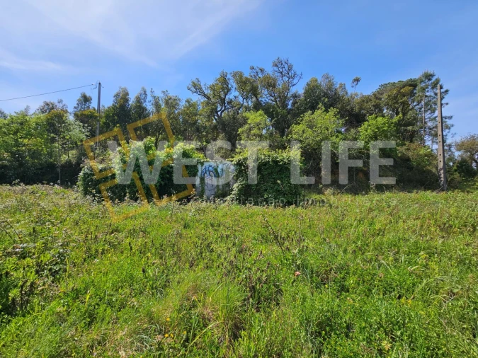 Armazém para Venda em Mafra Foto 10