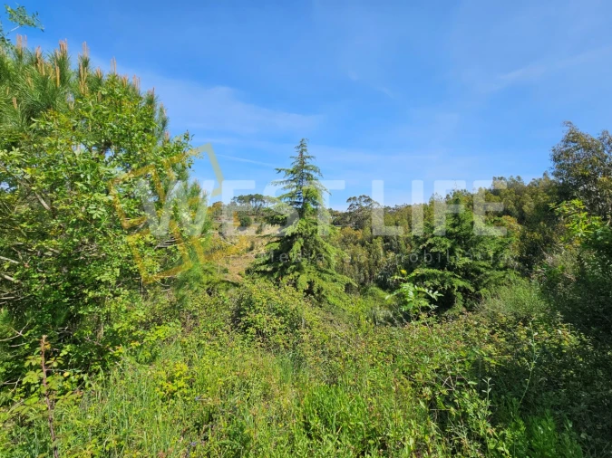 Armazém para Venda em Mafra Foto 13