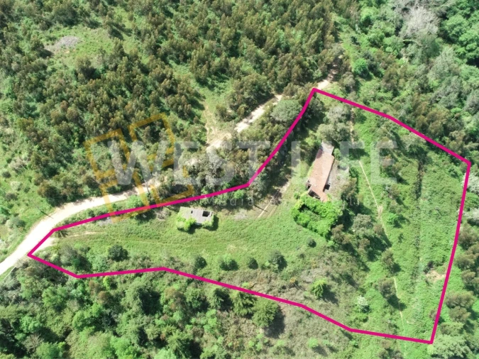 Armazém para Venda em Mafra Foto 14