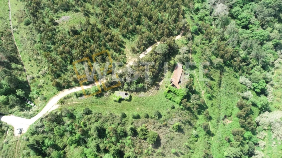 Armazém para Venda em Mafra Foto 16