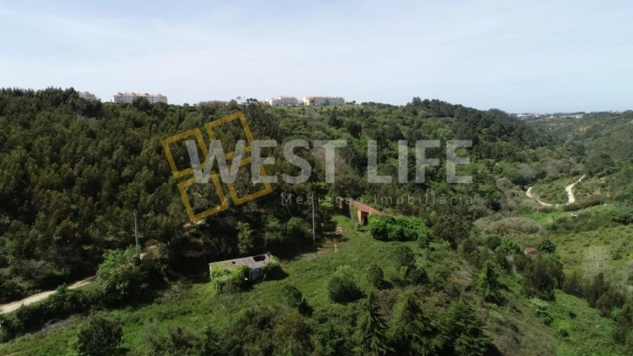 Armazém para Venda em Mafra Foto 19