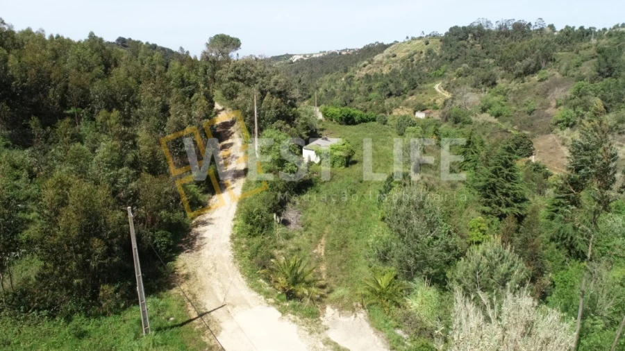 Armazém para Venda em Mafra Foto 20