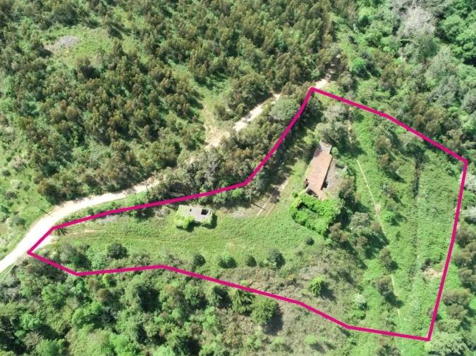 Armazém para Venda em Mafra Planta 1