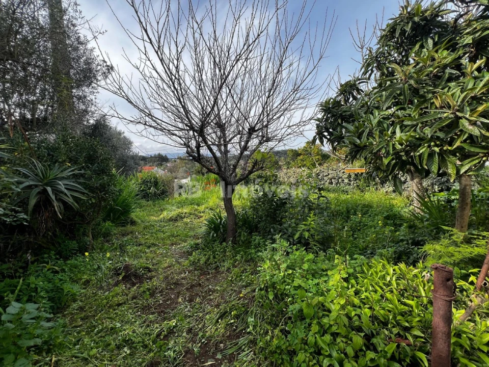 Moradia T3 para Venda em Meia Via Foto 7