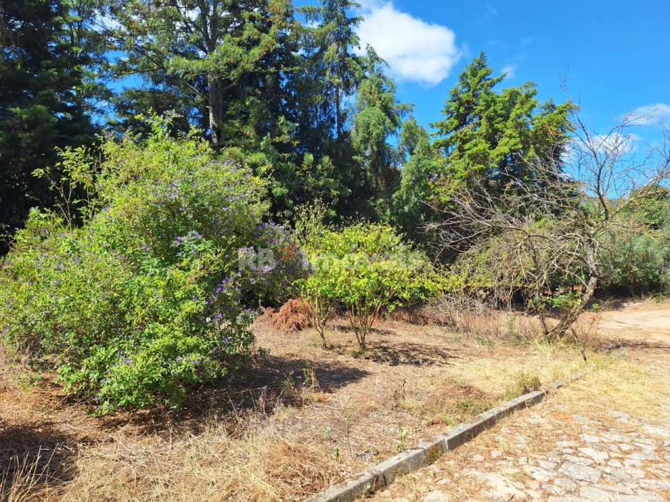 Moradia T4 para Venda em Mira de Aire Foto 39