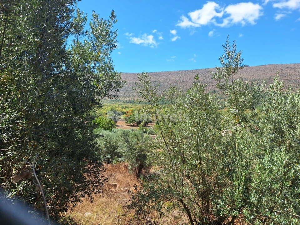 Moradia T4 para Venda em Mira de Aire Foto 40