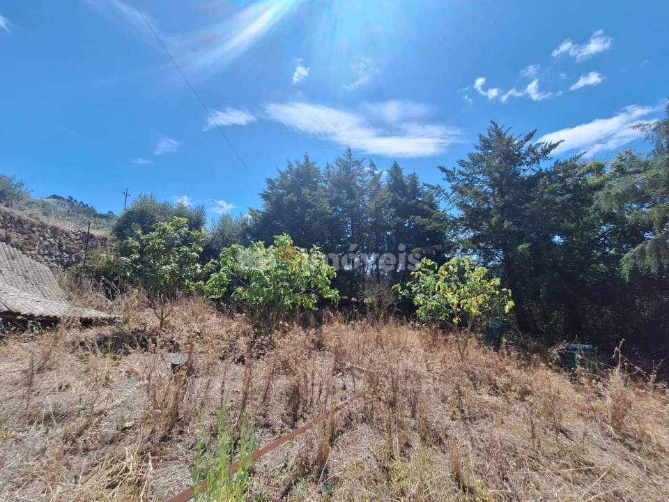 Moradia T4 para Venda em Mira de Aire Foto 44