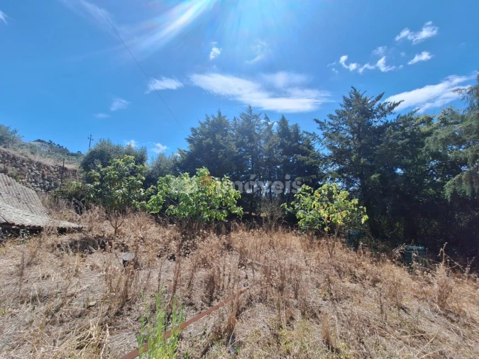 Moradia T4 para Venda em Mira de Aire Foto 44