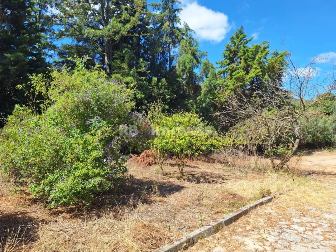 Moradia T4 para Venda em Mira de Aire Foto 42