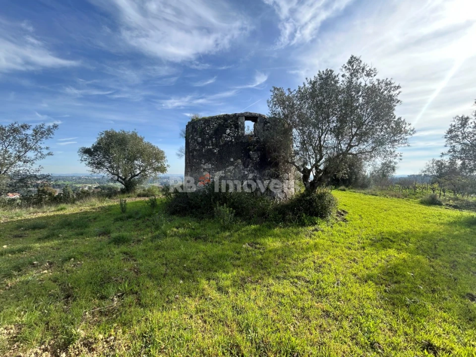 Terreno para Venda em Assentiz Foto 1