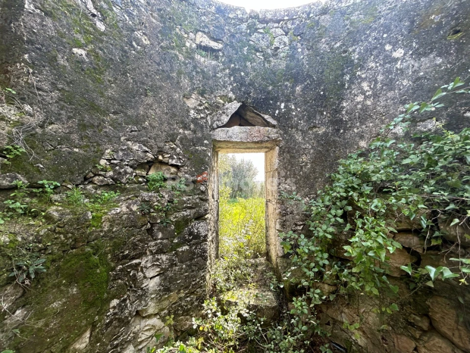 Terreno para Venda em Assentiz Foto 7