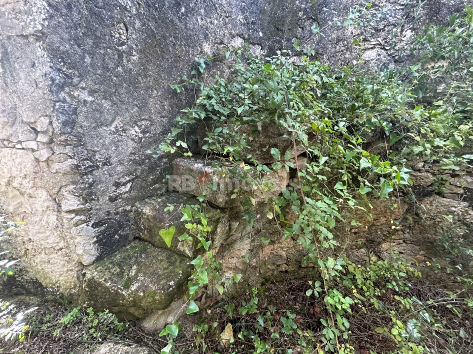 Terreno para Venda em Assentiz Foto 9