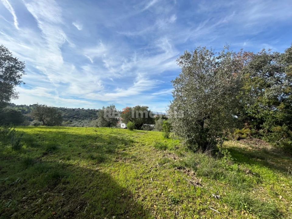 Terreno para Venda em Assentiz Foto 17