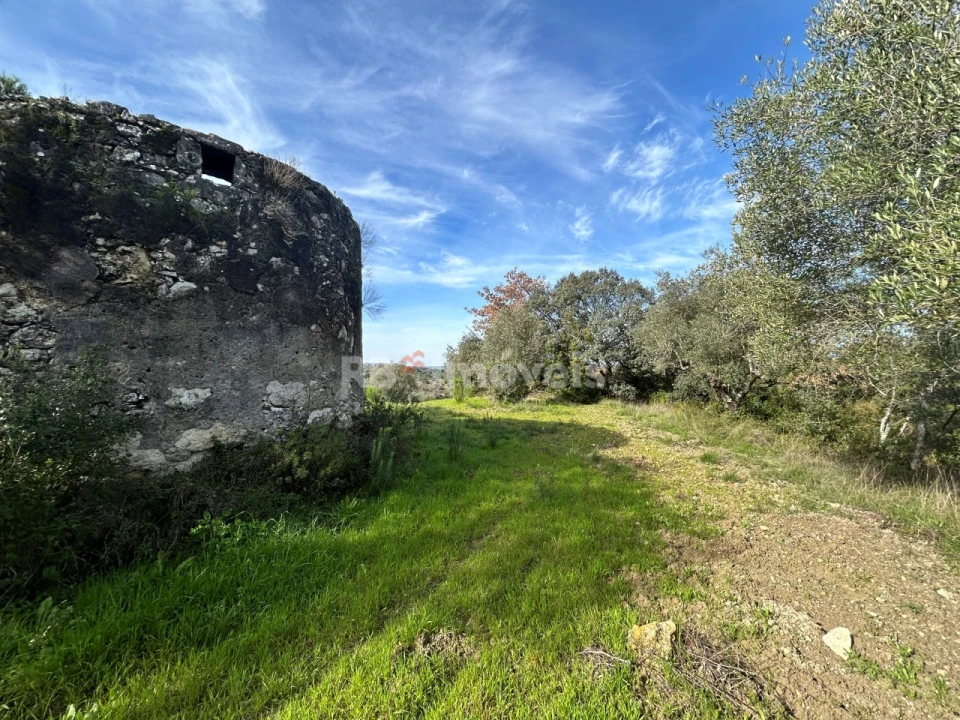 Terreno para Venda em Assentiz Foto 18
