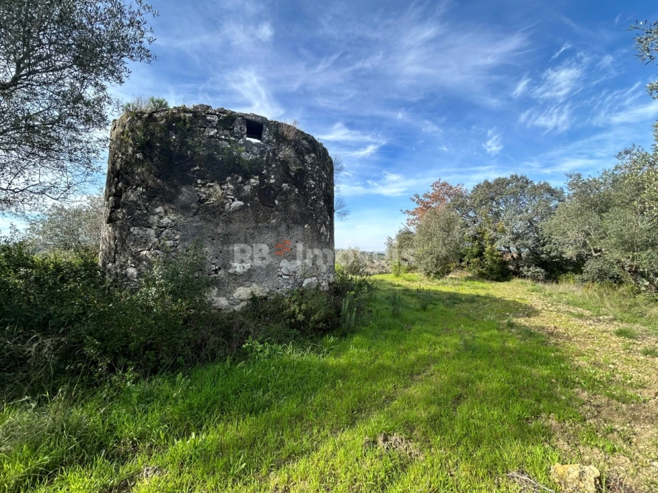 Terreno para Venda em Assentiz Foto 5