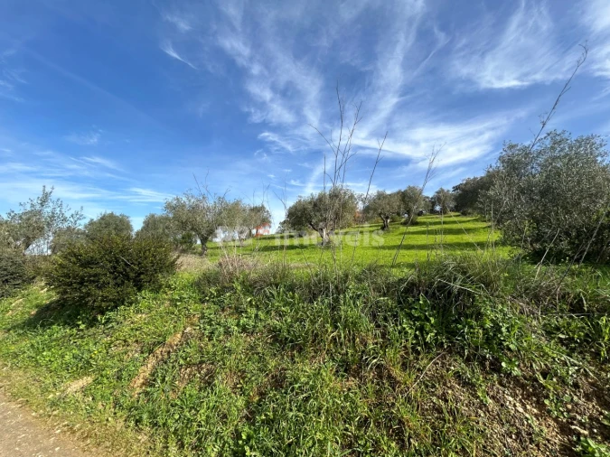 Terreno para Venda em Assentiz Foto 11